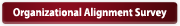 Organizational Alignment Survey
