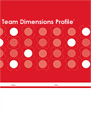 Team Dimensions Profile(TDP)